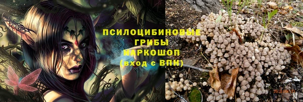 стафф Зеленокумск