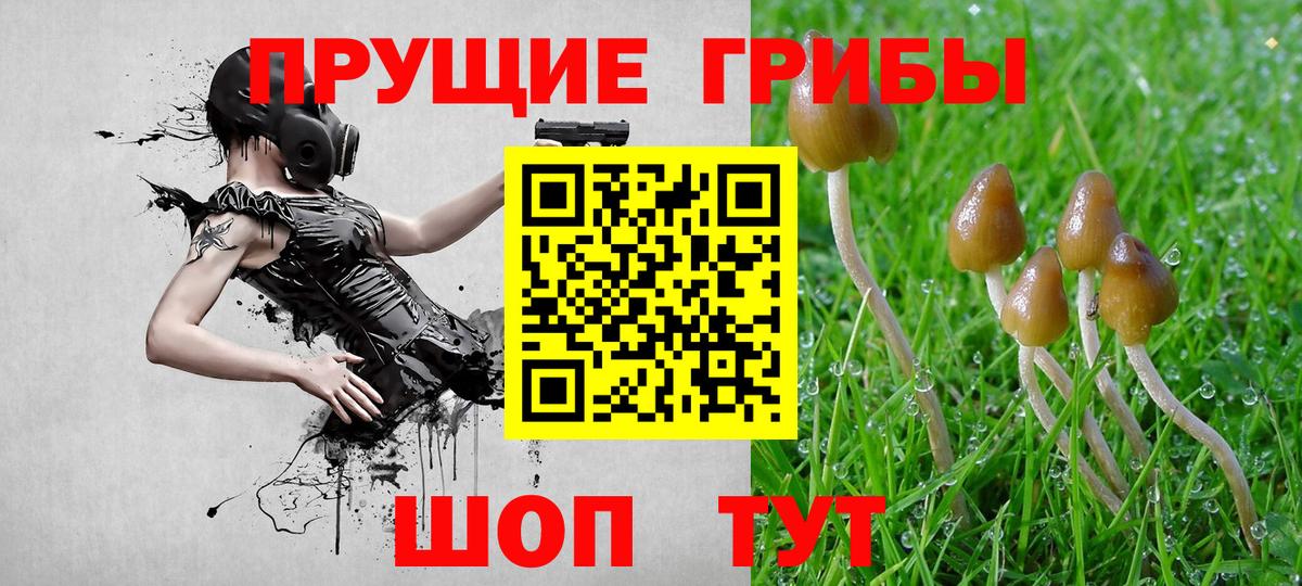 МЕТАДОН Сланцы