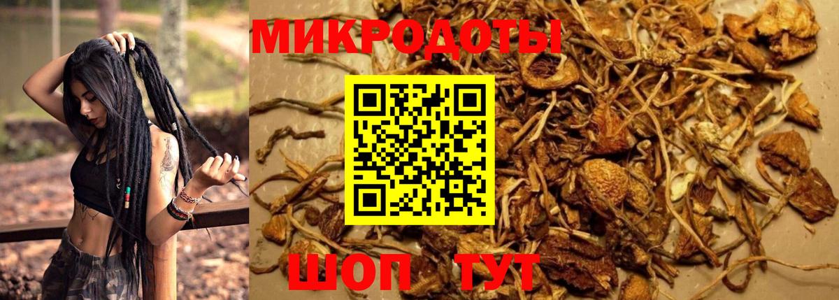 Галлюциногенные грибы Cubensis  Вход с VPN  Сланцы 
