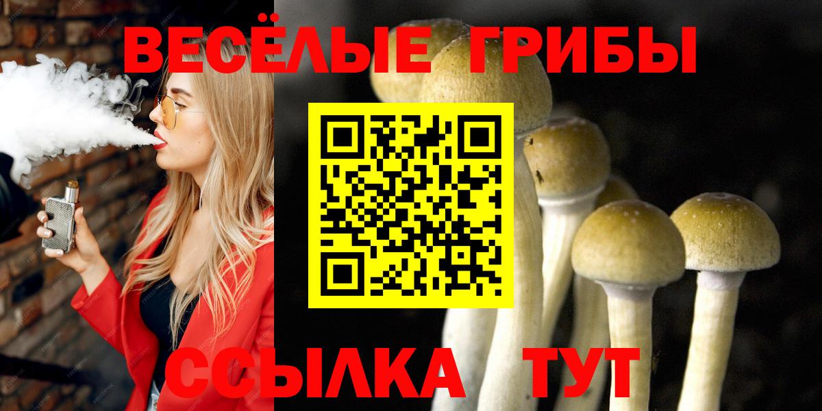 Псилоцибиновые грибы прущие грибы Сланцы